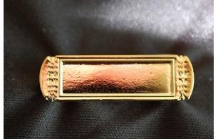 Chain of Office - Flat Bar (engraved)